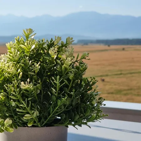 Penthouse Mountain View * Sibiu
