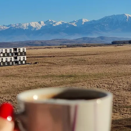 Penthouse Mountain View Apartment Sibiu