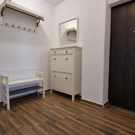 Penthouse Mountain View * Sibiu